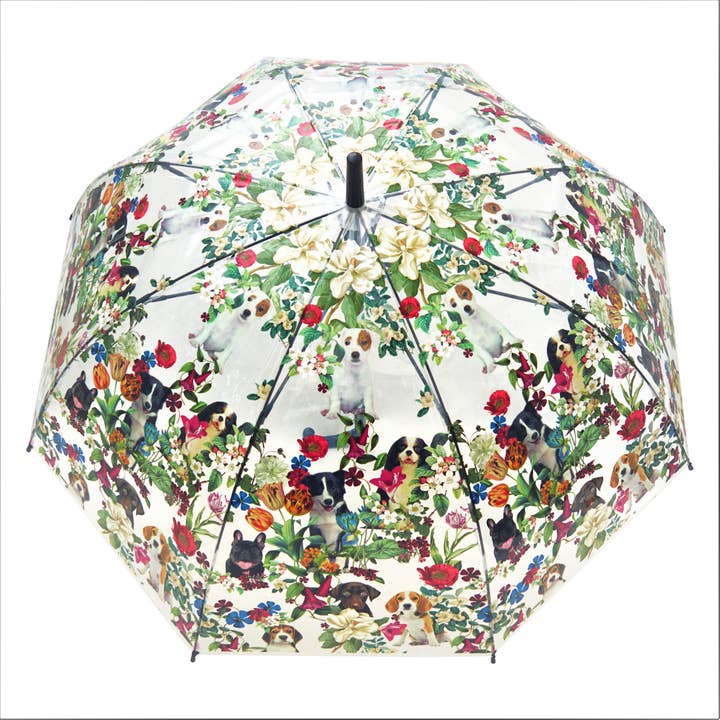 Top view of open transparent umbrella with vibrant flowers and puppies.
