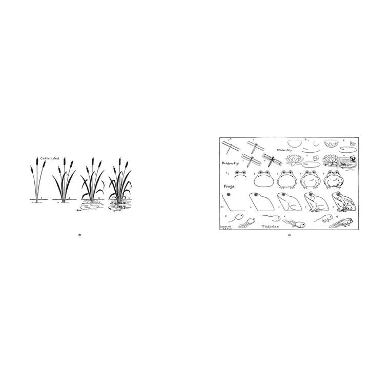 A hand-drawn sketch of a minimalist floral design featuring abstract petals and stems. The sketch has a clean, simple aesthetic with delicate lines.